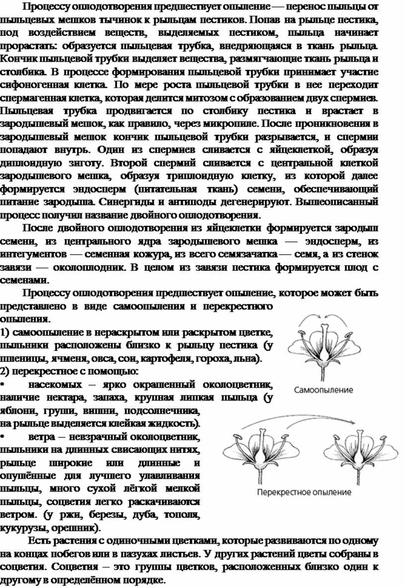 Методическое пособие по ботанике (морфология и физиология растений)