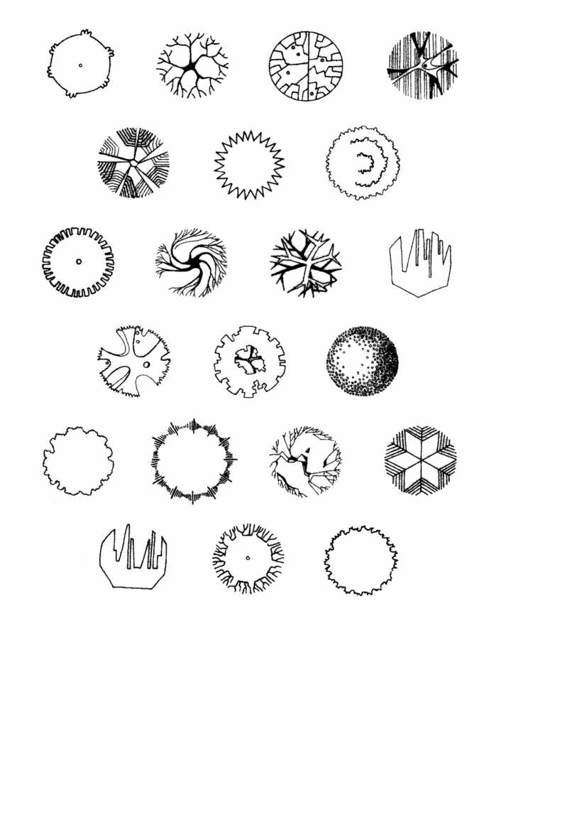 Обозначение растений. Обозначение деревьев и кустарников. Обозначение деревьев на плане. Обозначение деревьев на генплане. Схематичное обозначение деревьев.