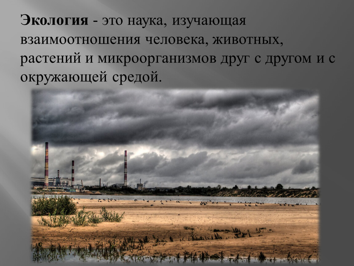 Окружающая среда россии экология