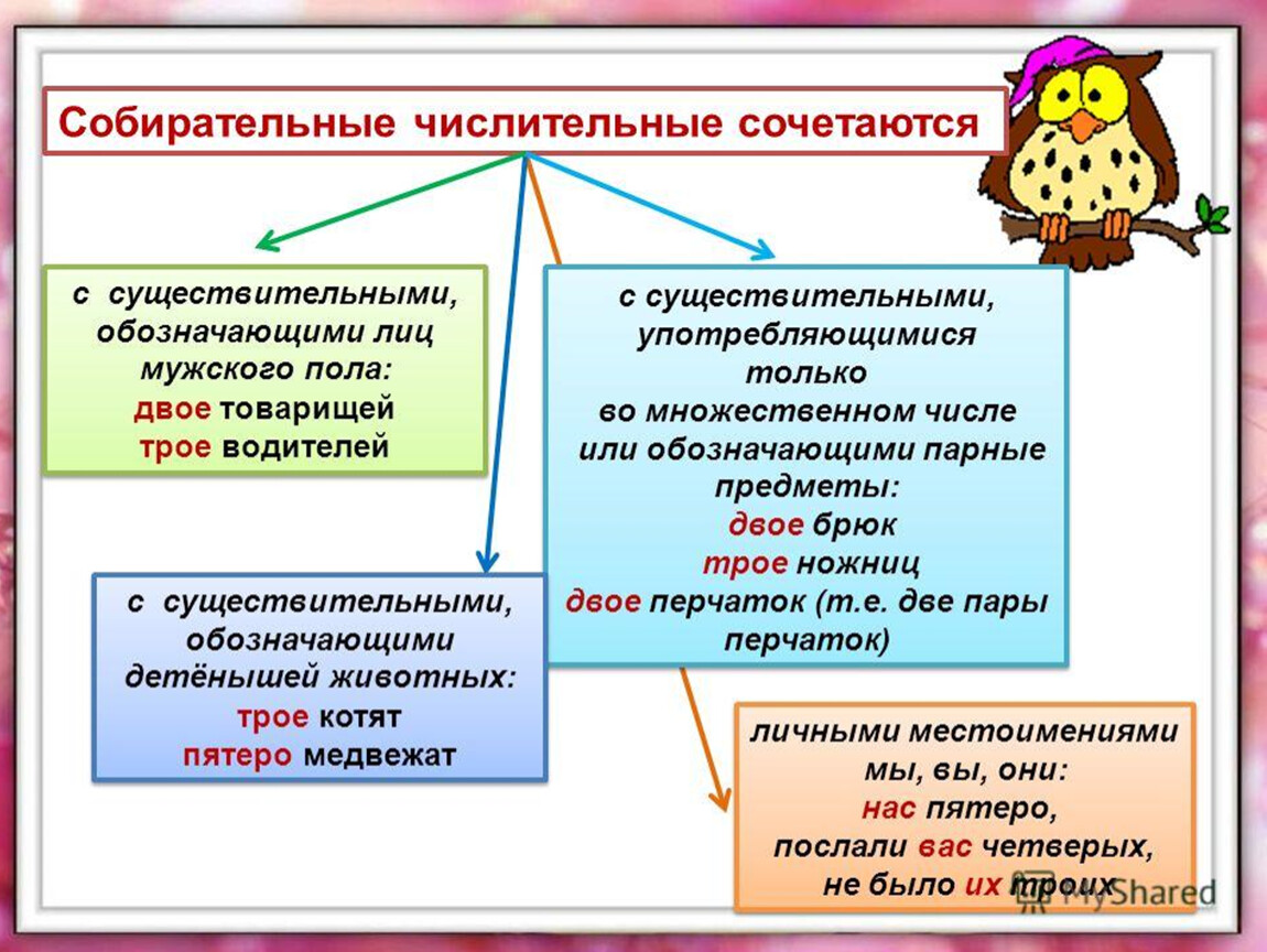 Дробные и собирательные числительные 6 класс презентация