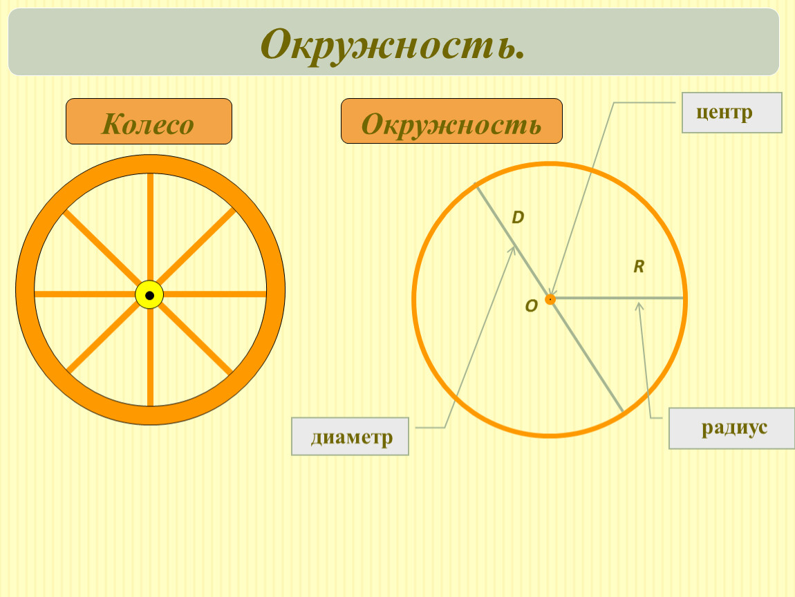 Все четыре круга одного размера диаметр радиус. Окружность. Радиус и диаметр круга. Окружность колеса. Круги и окружности.