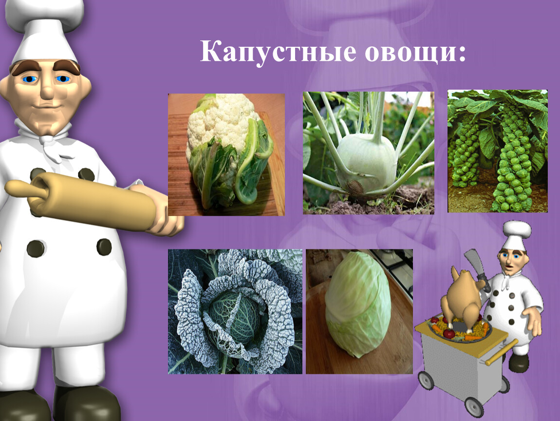 Обработка капустных овощей. Капустные овощи. Презентация на тему капустные овощи. К капустным овощам относят. Назовите капустные овощи.