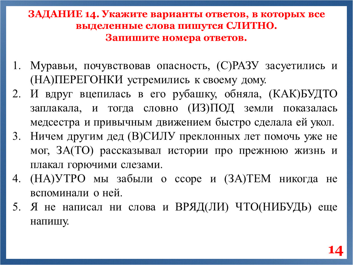 Подготовка к ЕГЭ по русскому языку в 11 классе (задания 1 - 21)