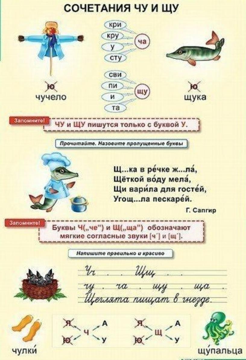 Таблица по обучению грамоте. Таблицы по русскому языку для начальной школы. Учебные плакаты для начальной школы. Памятки 1 класс обучение грамоте.