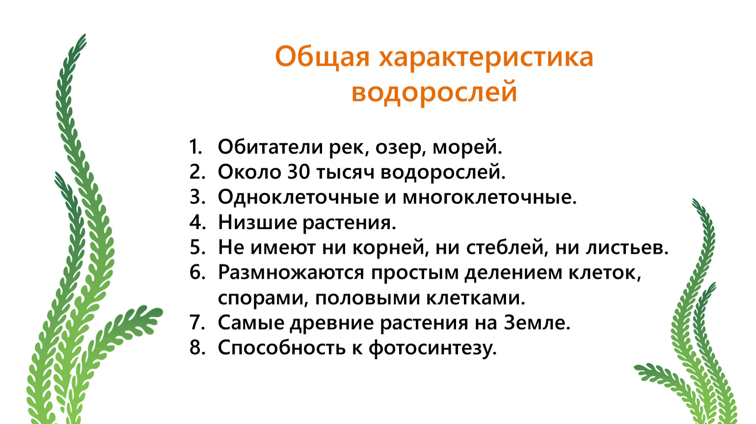 Презентация общая характеристика водорослей 6 класс биология