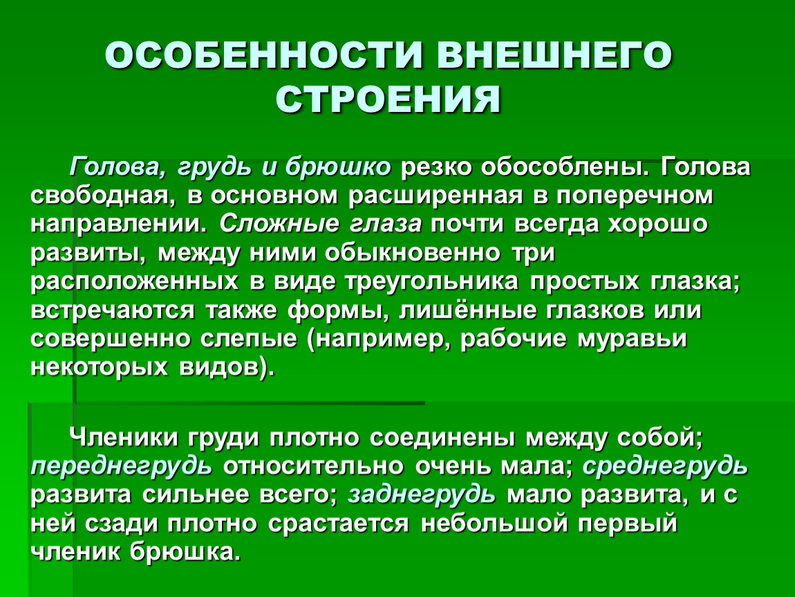 Какие особенности внешнего. Особенности внешнего строения. Внешние особенности. Какой признак внешнего строения. Особенности внешнего строения лежат в основе.