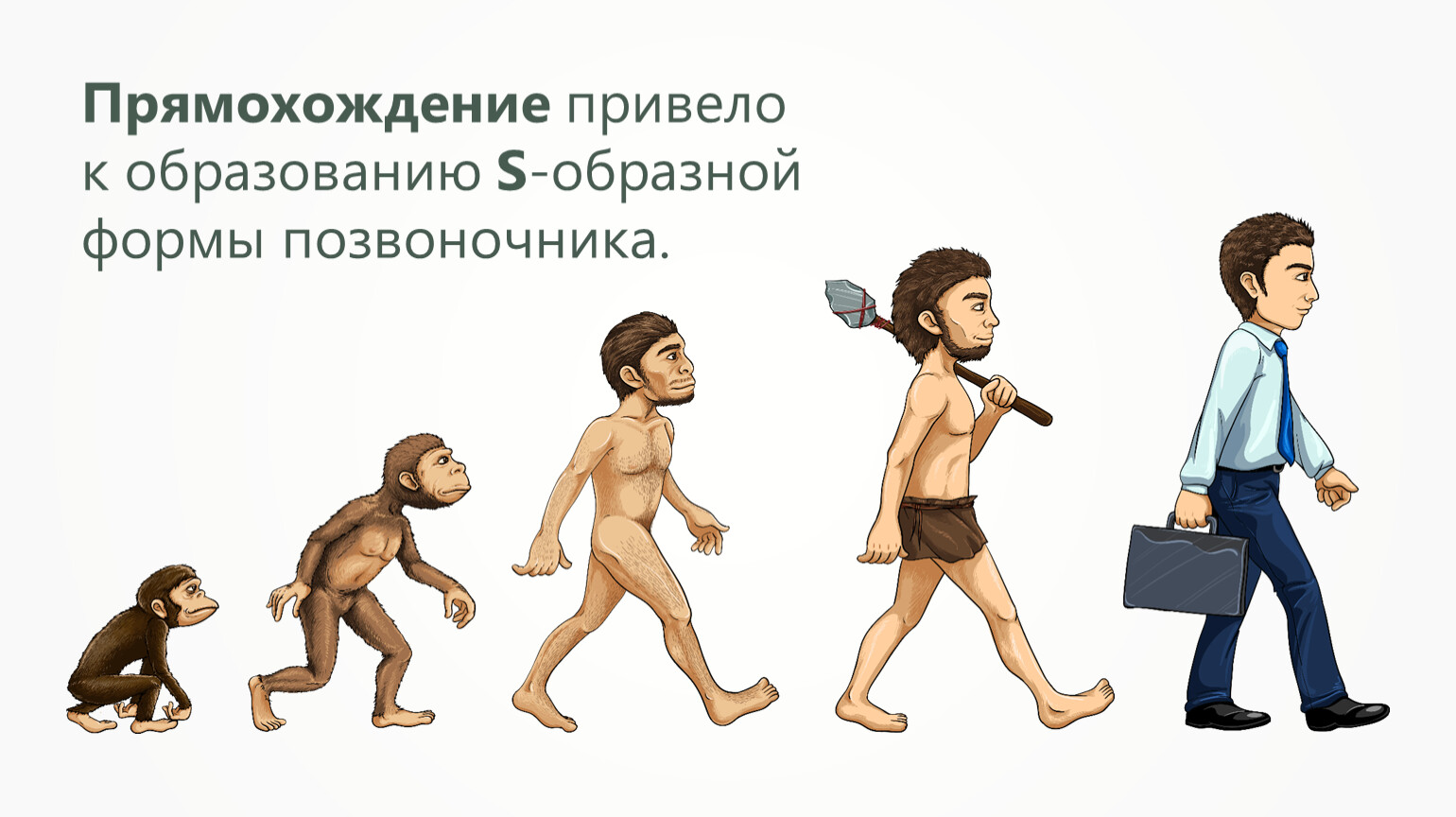 Прямохождения привело. Превращение в обезьяну. От обезьяны к человеку. Эволюция человека. Эволюция обезьяны в человека.