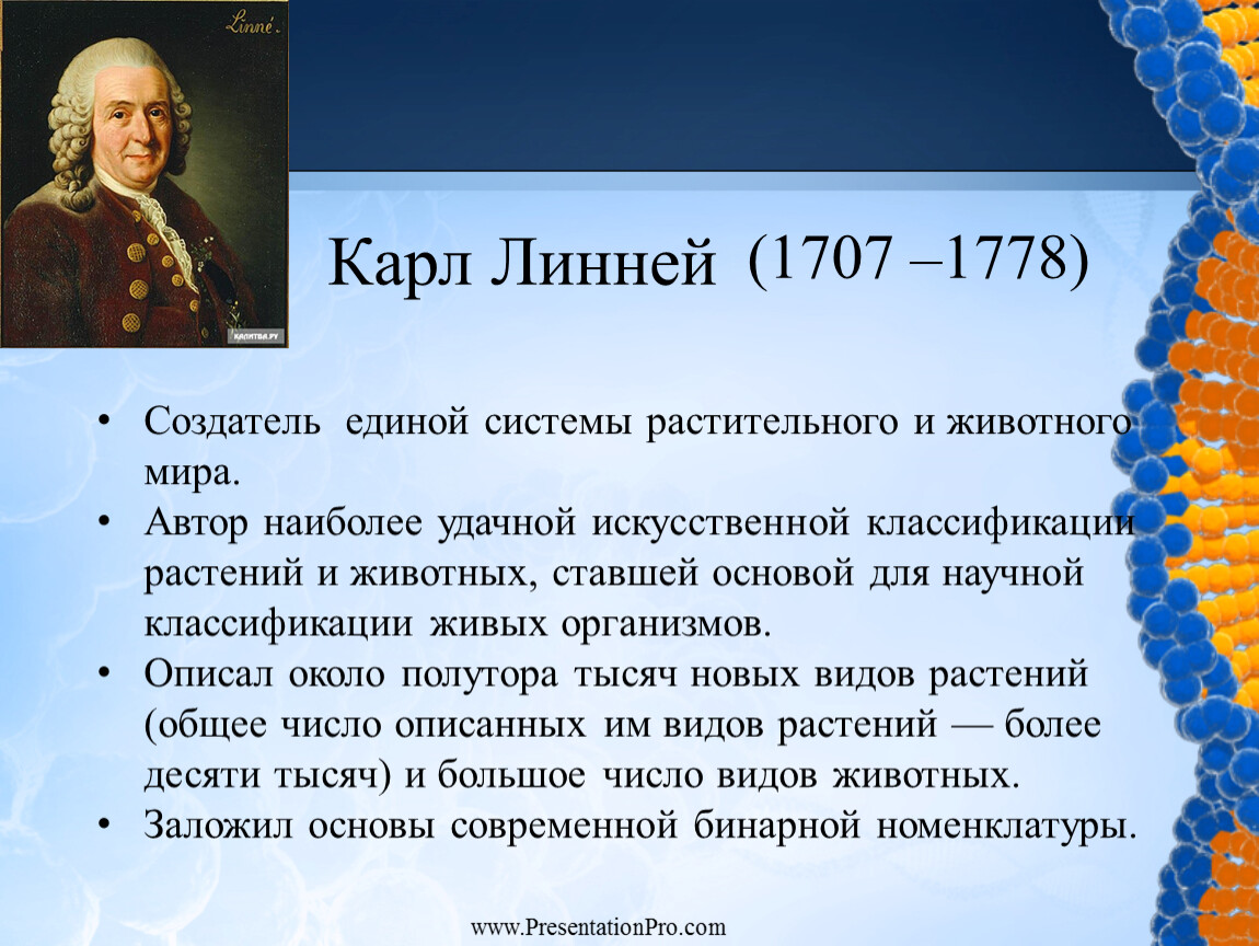 Ученый линней вклад в биологию. К.Линней - (1707-1778). Карл Линней (1707-1778 гг.). Карл Линней вклад в науку биологию. Коллекция Карла Линнея.