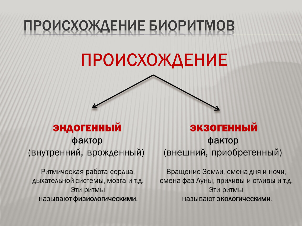 Фактор происхождения. Происхождение биоритмов. Эндогенные биологические ритмы. Факторы происхождения биоритмов. Внешние и внутренние биоритмы.