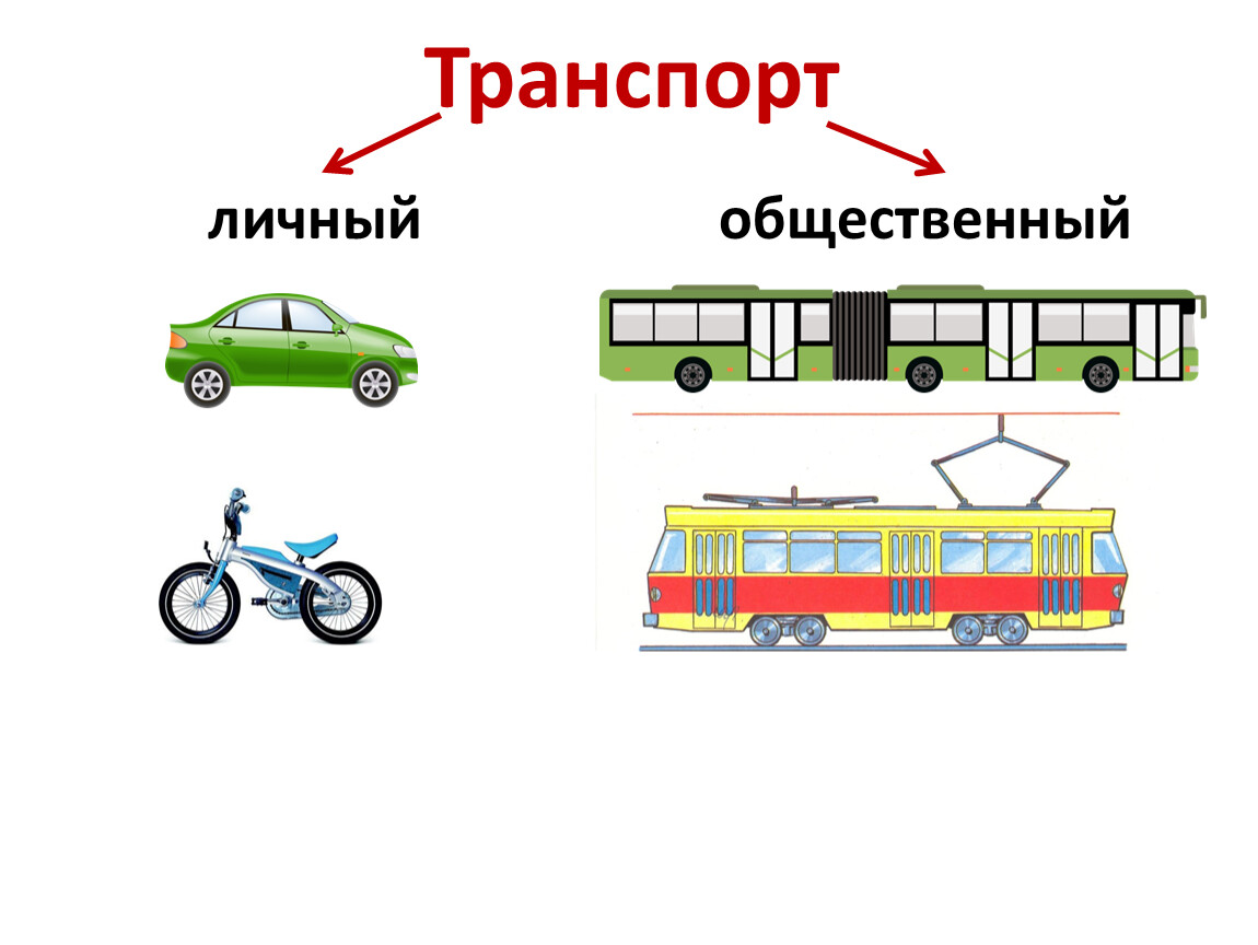 Сколько транспорт. Транспорт. Личный и общественный транспорт. Наземный пассажирский транспорт. Окружающий мир. Транспорт.