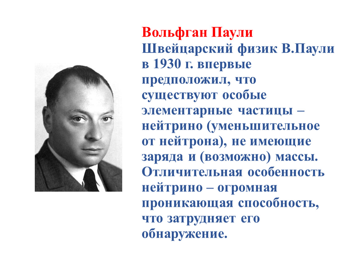 Паули физик фото
