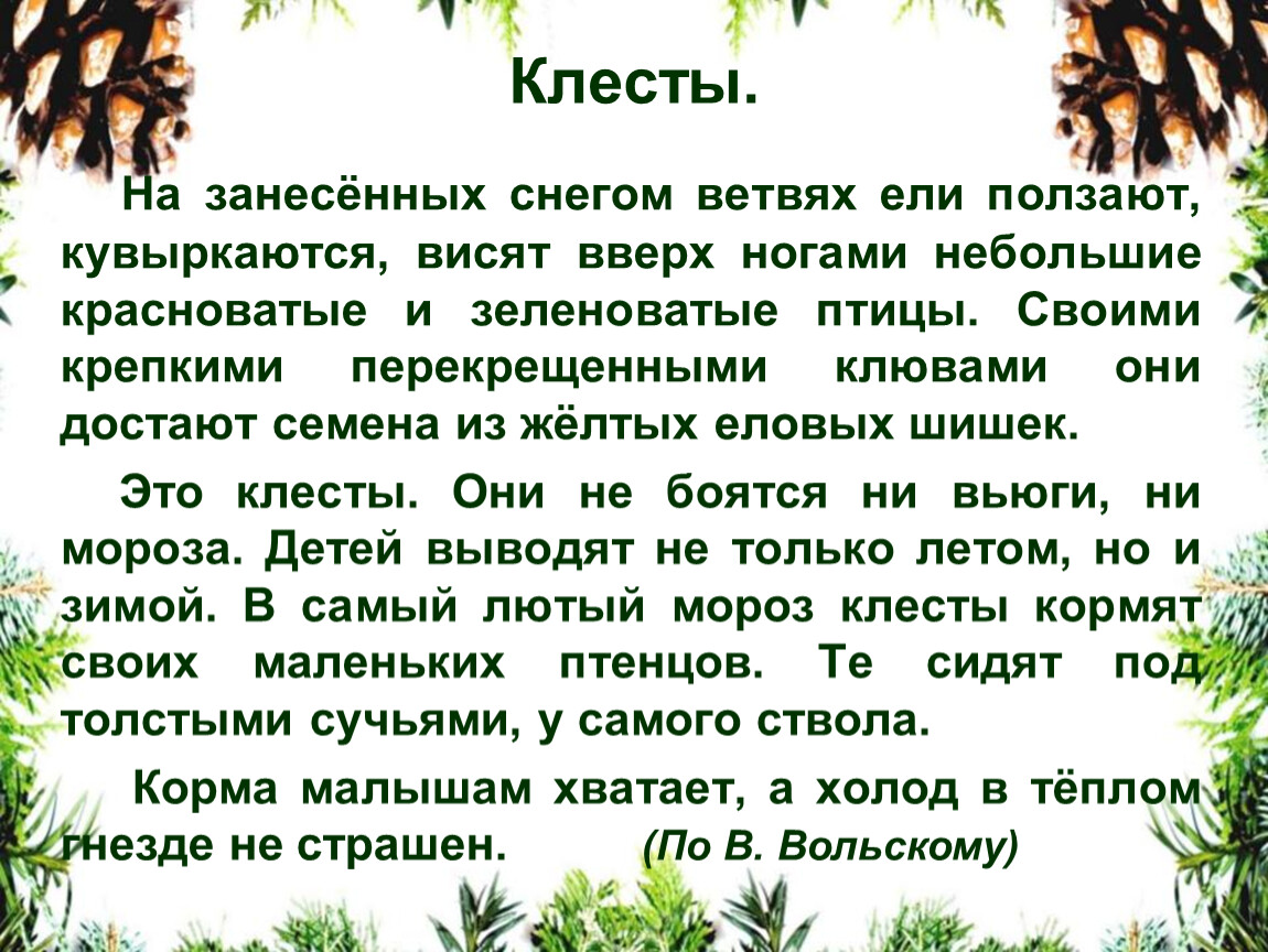 Обучающее изложение 3 класс клесты презентация 3 класс