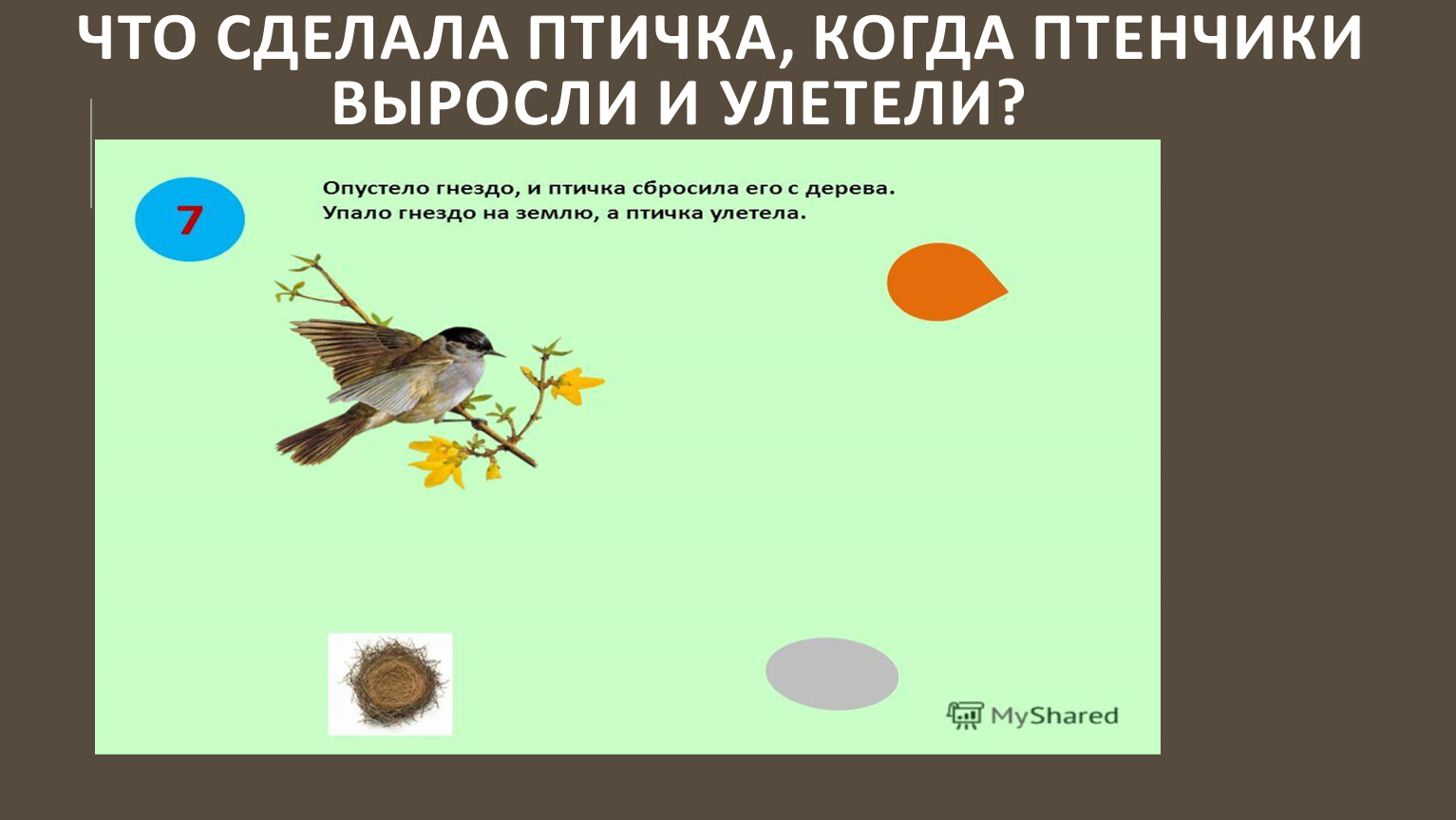 Тест размножение птиц