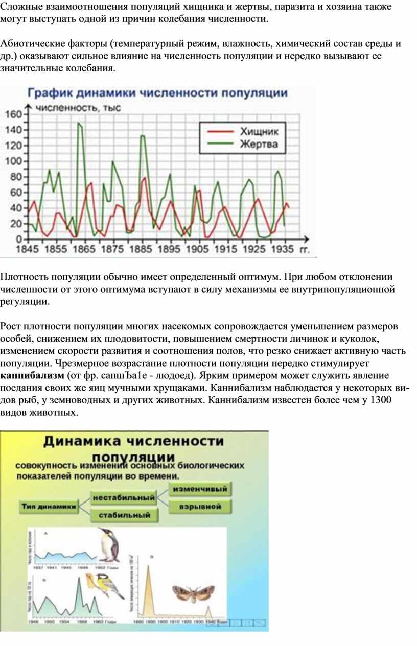 Численность популяции какого