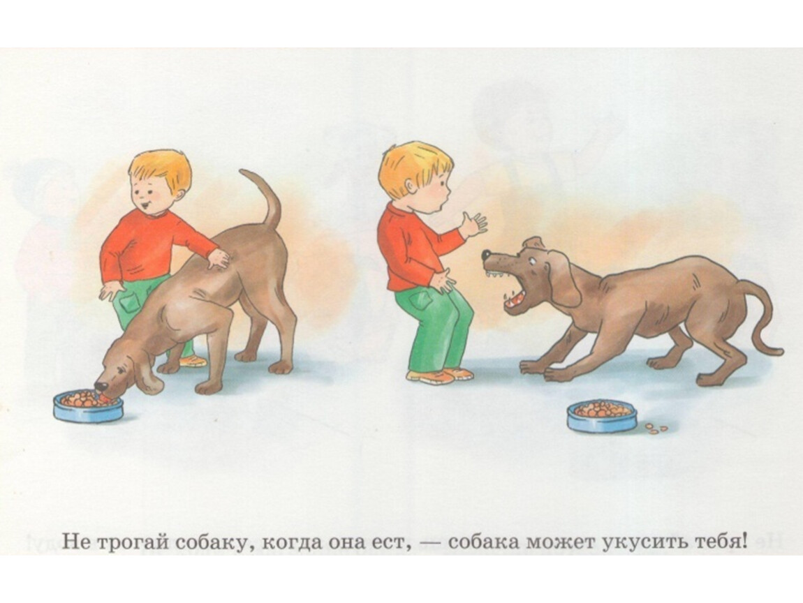 Правила обращения с животными для детей