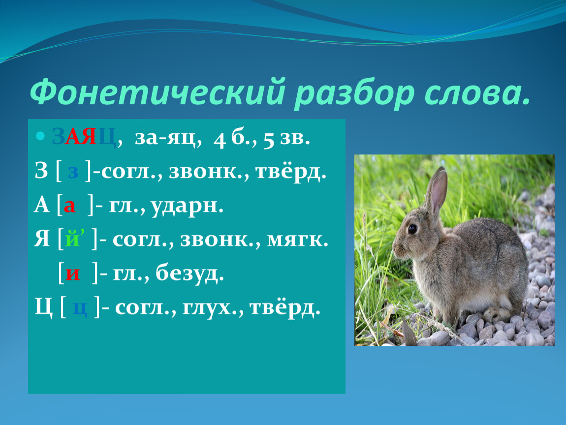 В слове заяц все согласные звонкие. Заяц фонетический разбор. Разбор слова заяц. Заяц звуко буквенный разбор слова. Фонетический разбор слова заяц.