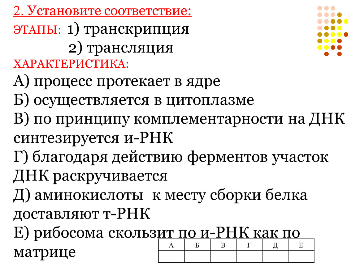 Установите последовательность процессов протекающих. Установите соответствие этапы транскрипции и трансляции. Трансляция характеристика процесса. Установите соответствие транскрипция трансляция. Характеристика этапов трансляции.