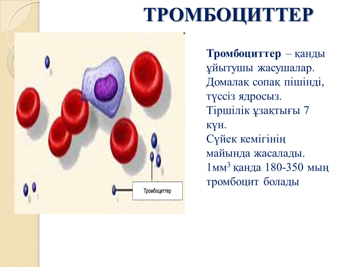 1 мм3 крови