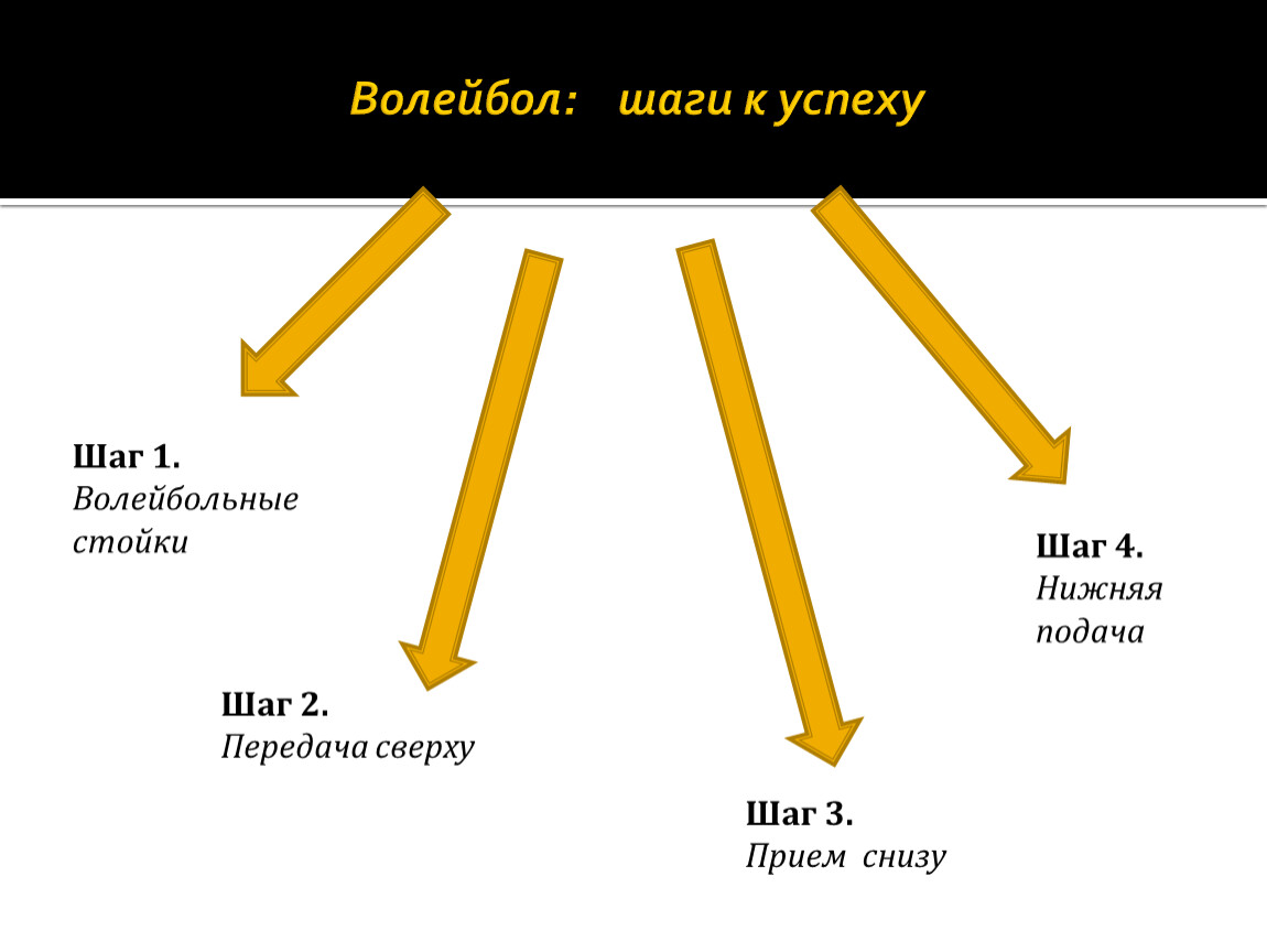 Волейбол путь к успеху проект