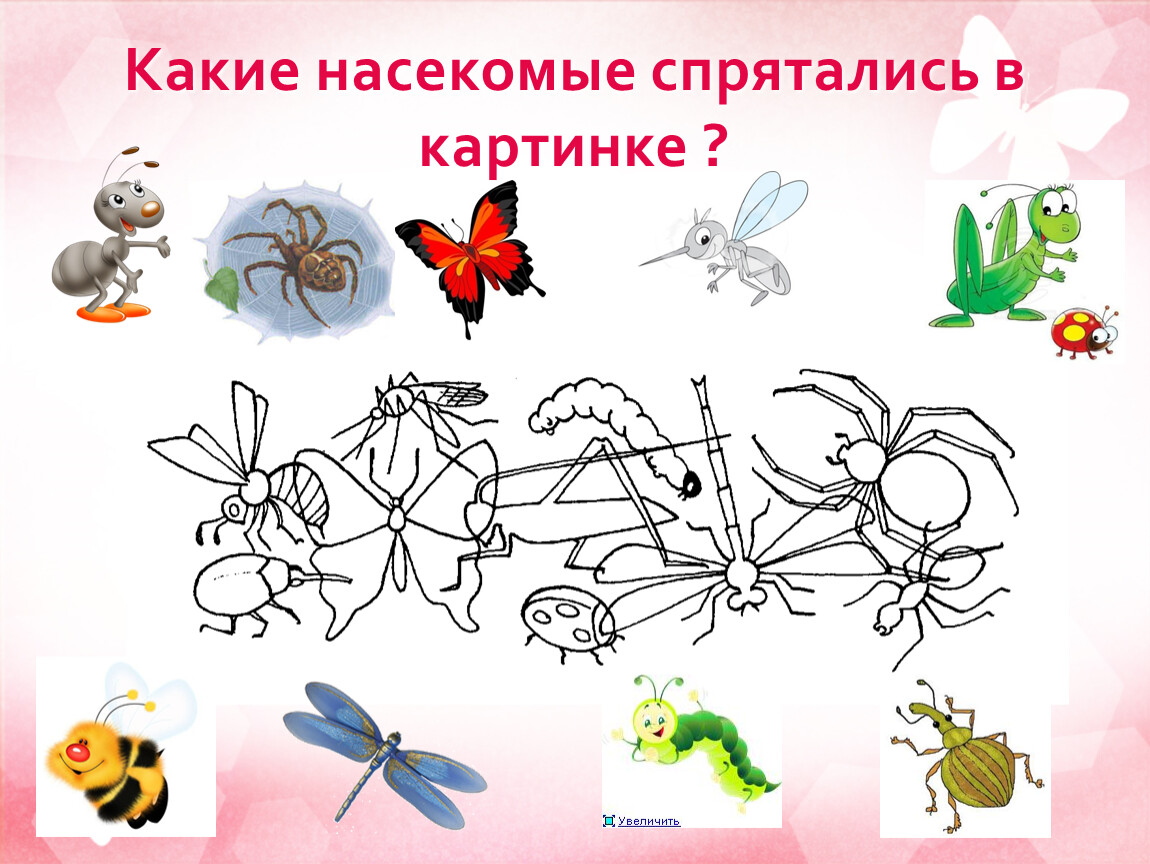 Тема насекомые во второй. Насекомые задания. Насекомые спрятались. Задания для детей на тему насекомые. Задания какие насекомые спрятались.