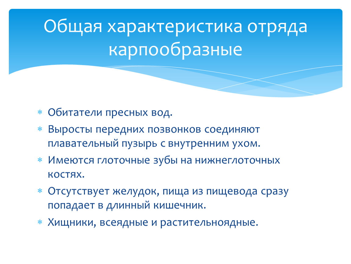 Карпообразные признаки. Характеристика отряда Карпообразные. Особенности карпообразных рыб. Отряд Карпообразные краткая характеристика. Карпообразные особенности строения.