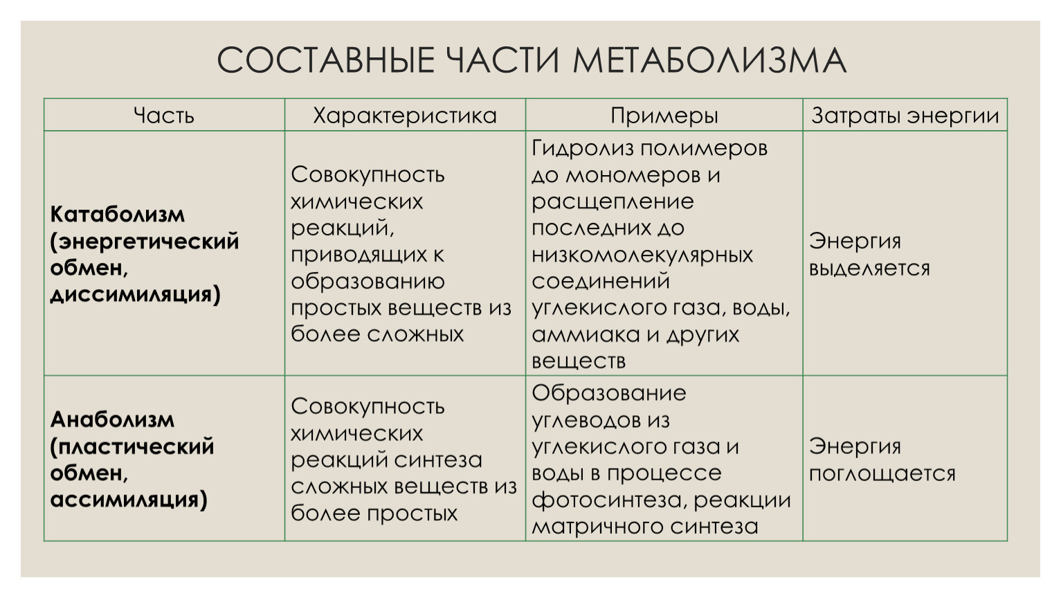 Части обмена веществ