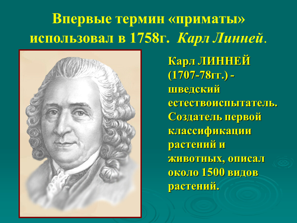 Впервые термин. Шведский естествоиспытатель Карл Линней (1707-1778). Карл Линней 1758. Карлом Линнеем в 1758 году. Карл Линней описал 1500 видов.