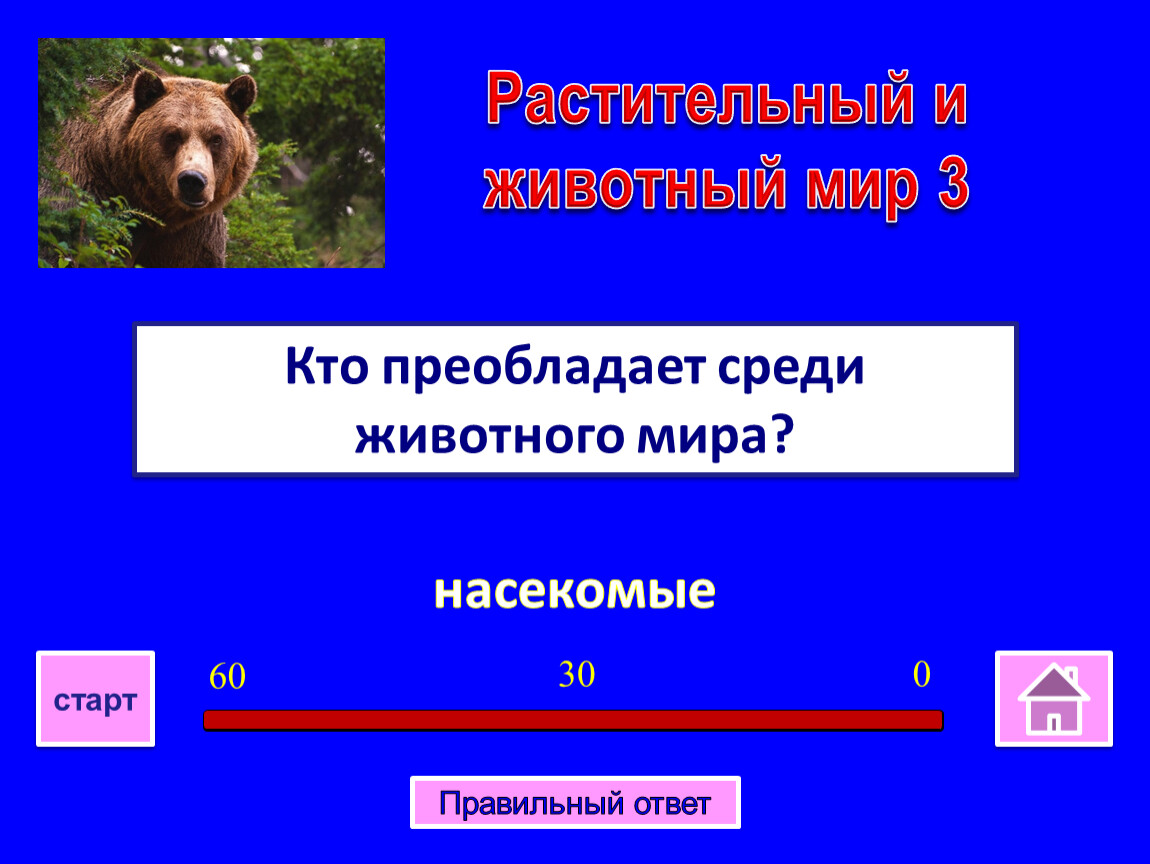 Преобладающая среди. Среди животного мира преобладают. Кто преобладает среди животных. Кто преобладает среди животного мира в России. Кого преобладает среди животных в России.