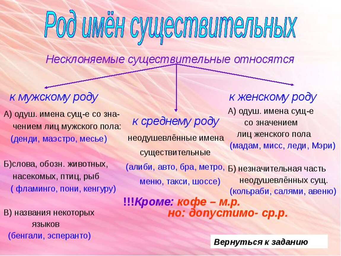 Русский язык 5 класс тема несклоняемые существительные. Род несклоняемых имен существительных. Роди несколняемых существительны. Алгоритм определения рода несклоняемых существительных. Род неизменяемых имен существительных.