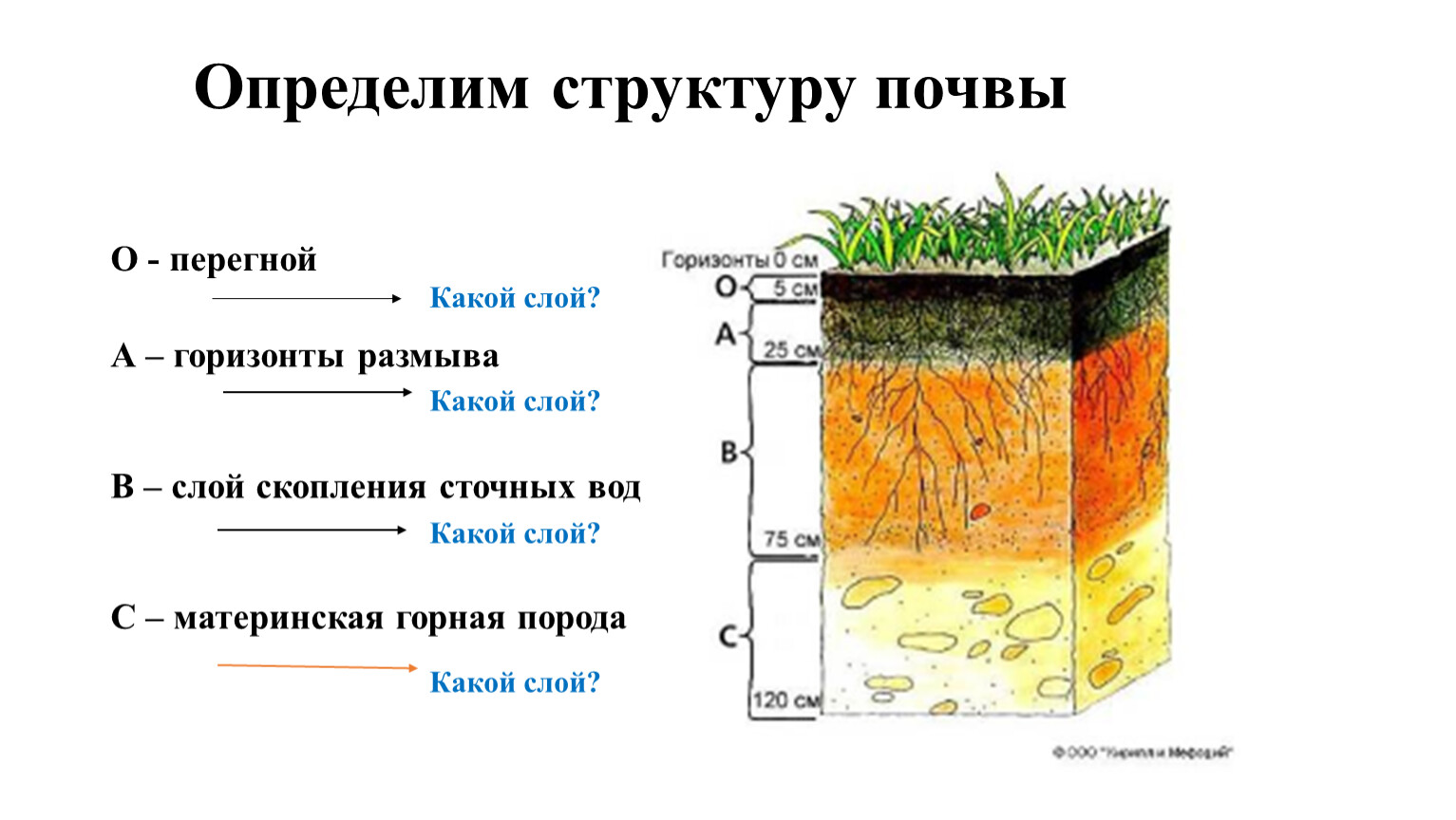 Строение почвы схема