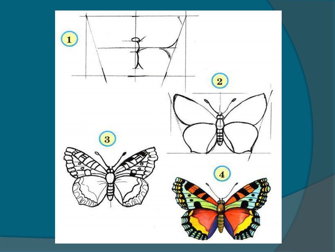 Урок рисования для первого класса бабочку