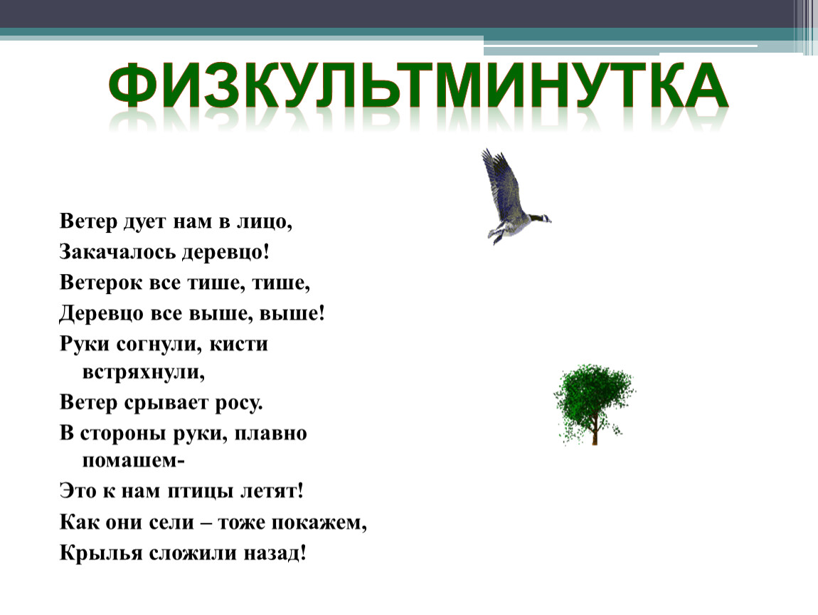 Закачалось деревце физминутка. Физкультминутка Аист для детей. Ветер дует нам в лицо закачалось деревцо. Разминка ветер дует нам в лицо закачалось деревцо. Ветер дует нам в лицо закачалось деревцо стих.