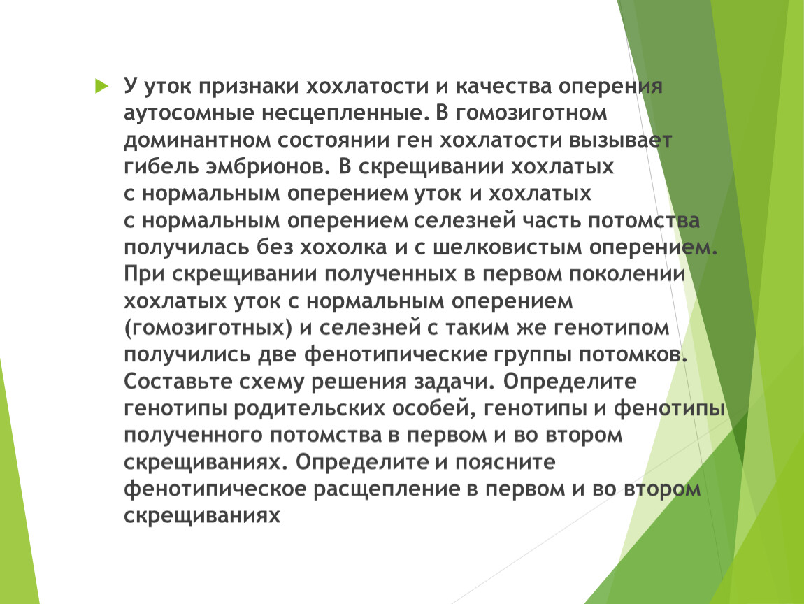 у кур хохлатость доминантный признак. аутосомные несцепленные гены хохлатость уток и оперение. при скрещивании хохлатых уток с нормальными. ген хохлатости. при скрещивании хохлатых уток с нормальными.