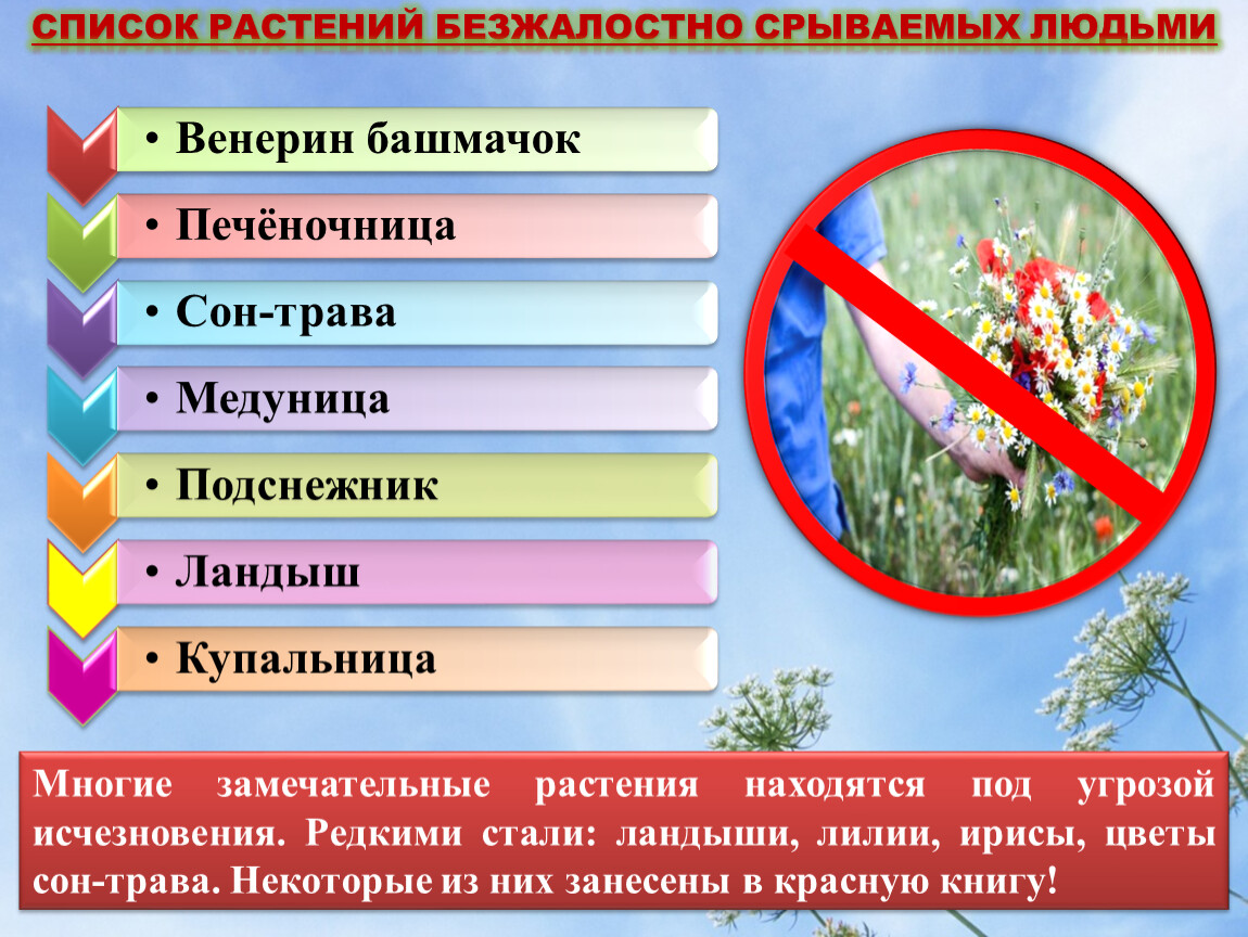 Красная книга башкортостана животные и растения фото с названиями