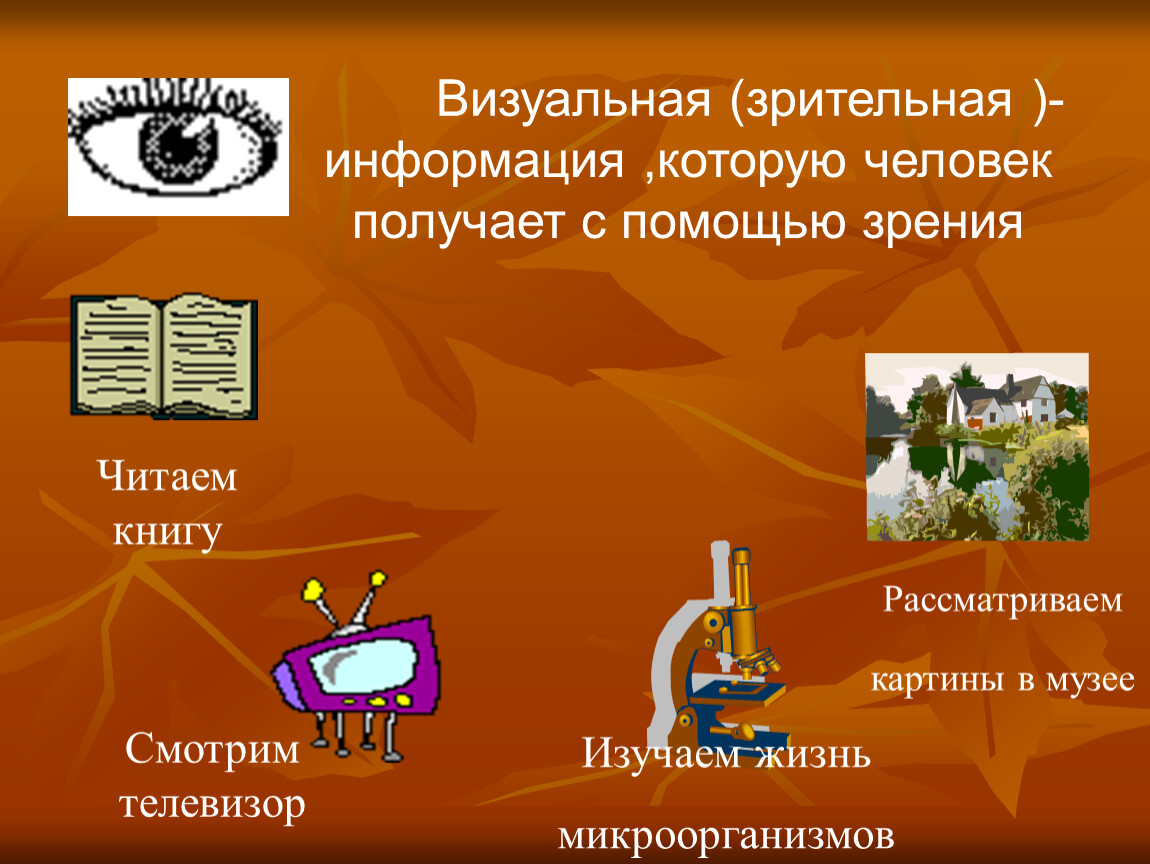 Помоги с информацией. Информация вокруг нас. Визуальная (Зрительная) информация. Получение информации с помощью зрения. Визуальный вид информации.