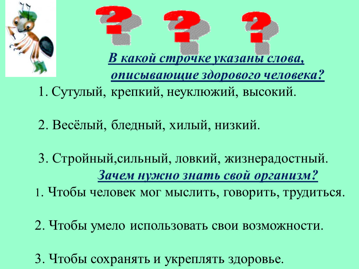 В какой строчке указаны только органы человека