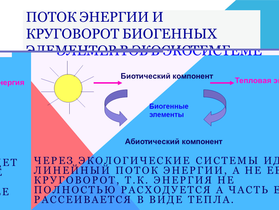 Круговорот биогенных элементов схемы