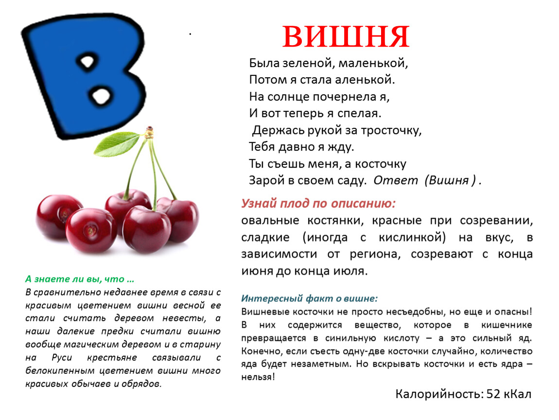 Вишневой косточкой текст. Калорийность вишни свежей. Черешня ккал на 100 грамм. Вишня калорийность на 100 грамм. Черешня калории на 100 грамм.