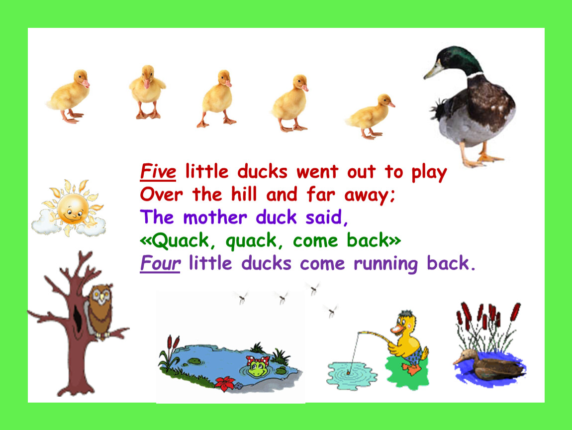 Duck text. Five little Ducks. Five little Ducks слова. Five little Ducks went. Слова песенки Five little Ducks.