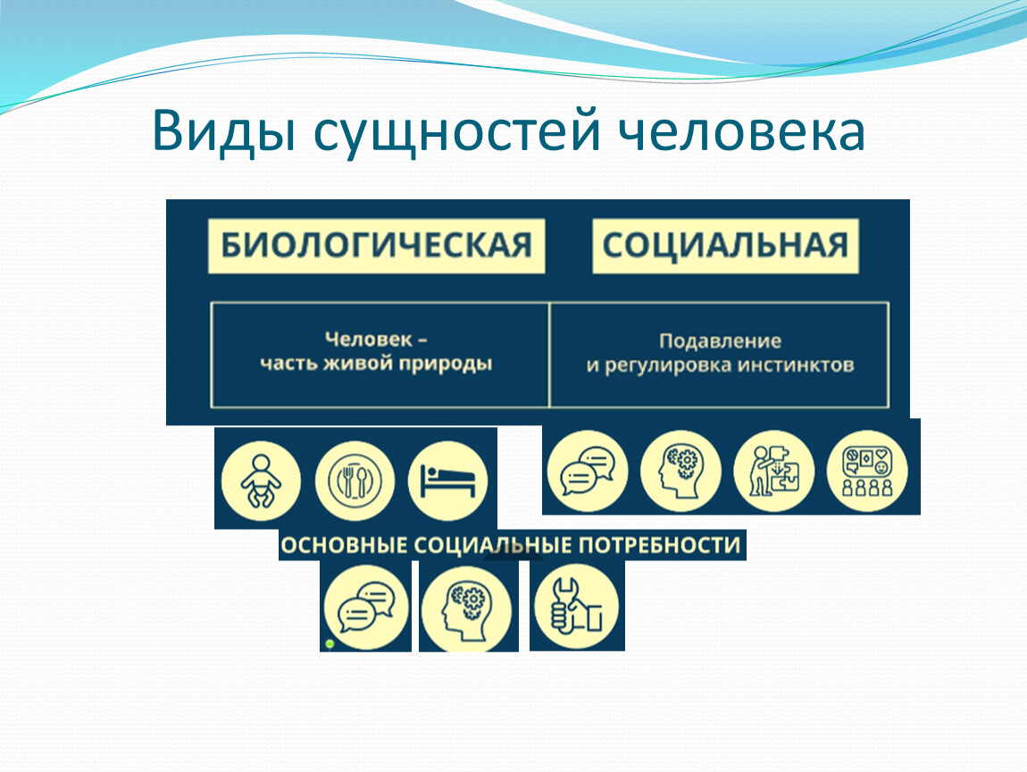 Виды сущностей. Виды человеческой сущности. Сущности виды сущностей. Сущность человека Обществознание.