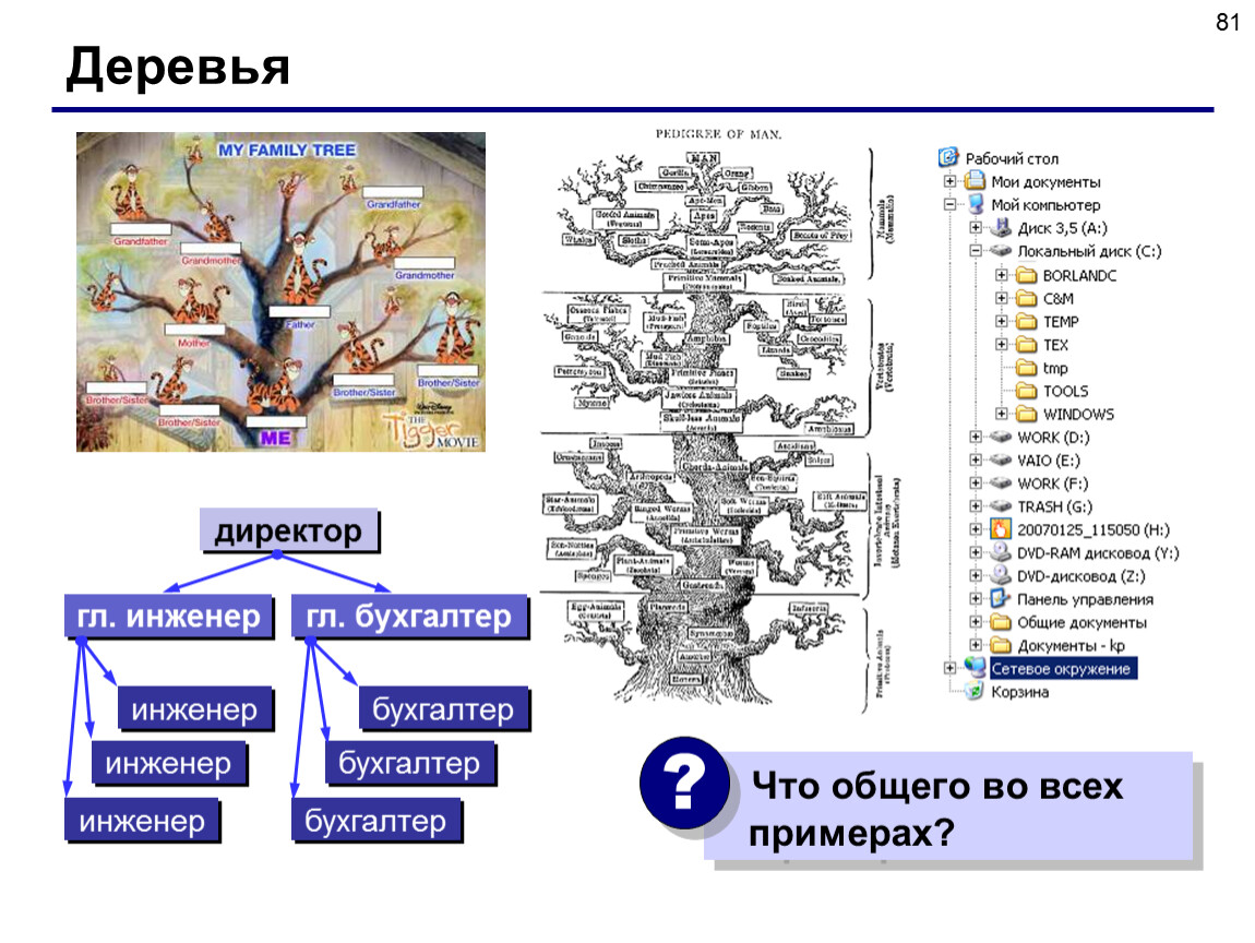 М дерево данных. Дерево данных. Дерево (структура данных). Динамические структуры данных примеры. Дерево в Паскале