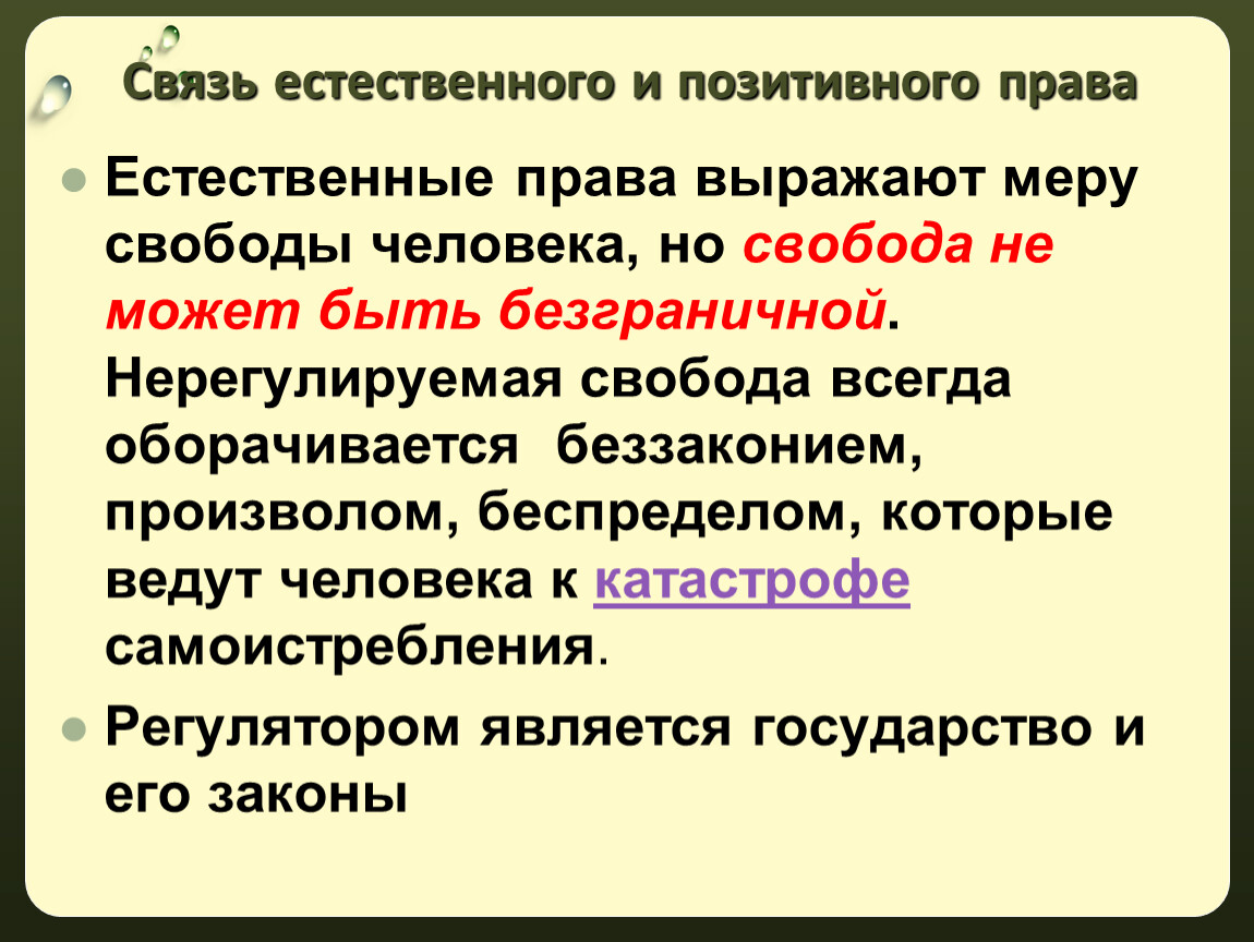 Значение словосочетания «безграничная свобода»