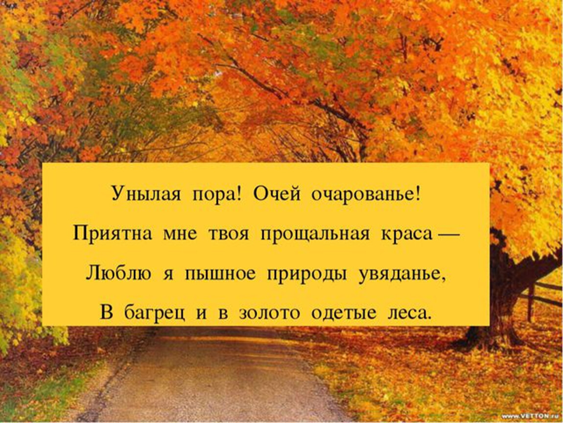 Пора очарований. Унылая пора очей очарованье. Унылая пора очей. Унылая пора очей очарованье стихотворение. Унылая пора очей очарованье приятна мне твоя прощальная Краса.