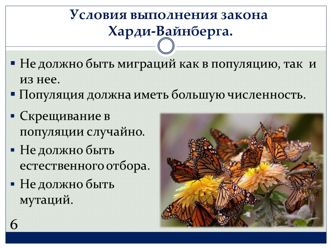 Презентация закон харди вайнберга популяции 11 класс