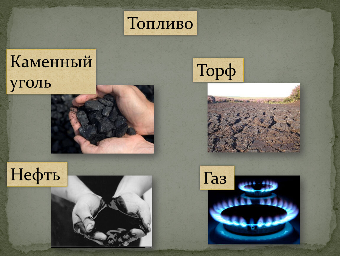 Каменный уголь нефть торф газ
