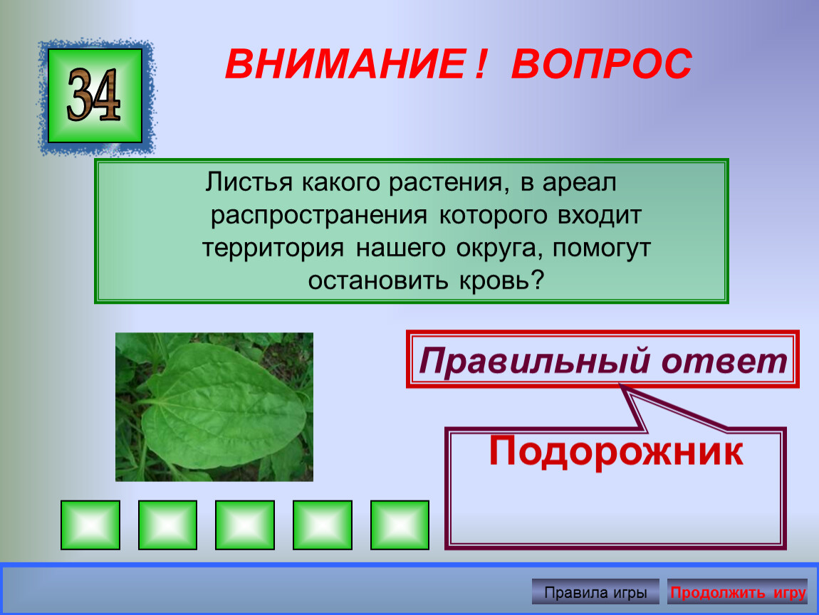 Лист вопросов и ответов. Растения нашего округа. Листья какого растения останавливают кровь. Листья какие прилагательные. Растение останавливающее кровь.