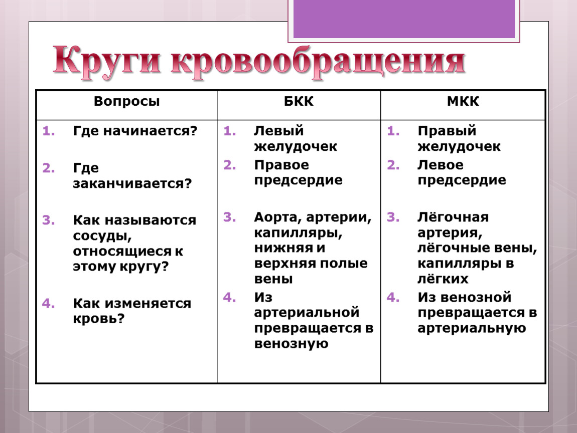 Нарушение кровообращения таблица. Круги кровообращения таблица. Круги кровообращения таблица 8 класс. Где начинается БКК. Сосуды и круги кровообращения таблица.