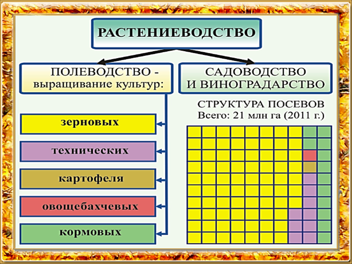 Структура растениеводства. Растениеводство в Казахстане презентация. Растениеводство 9 класс презентация. Растениеводство Казахстана кратко. Растениеводство схема 9 класс.