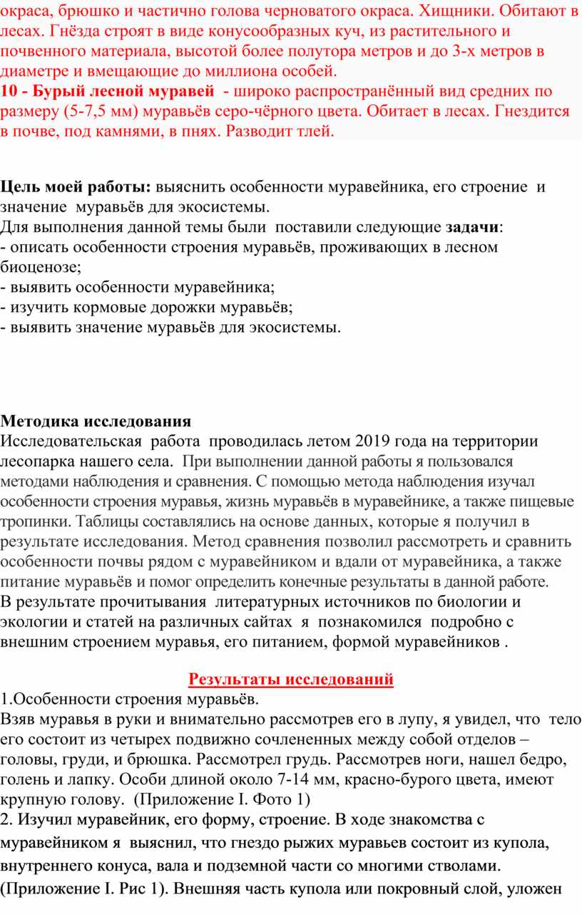 Исследовательская работа о жизнедеятельности и поведении муравьев