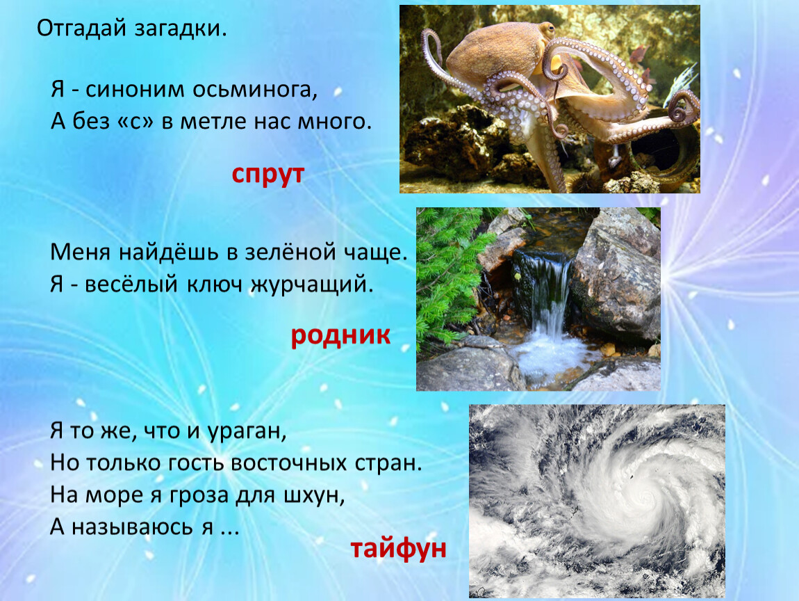 Осьминог синонимы. Я синоним осьминога а без с в метле нас много. Угадай синоним.